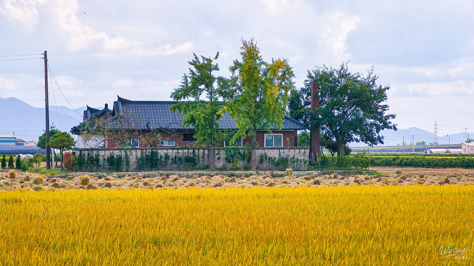 Autumn in the Ugang Plain_05