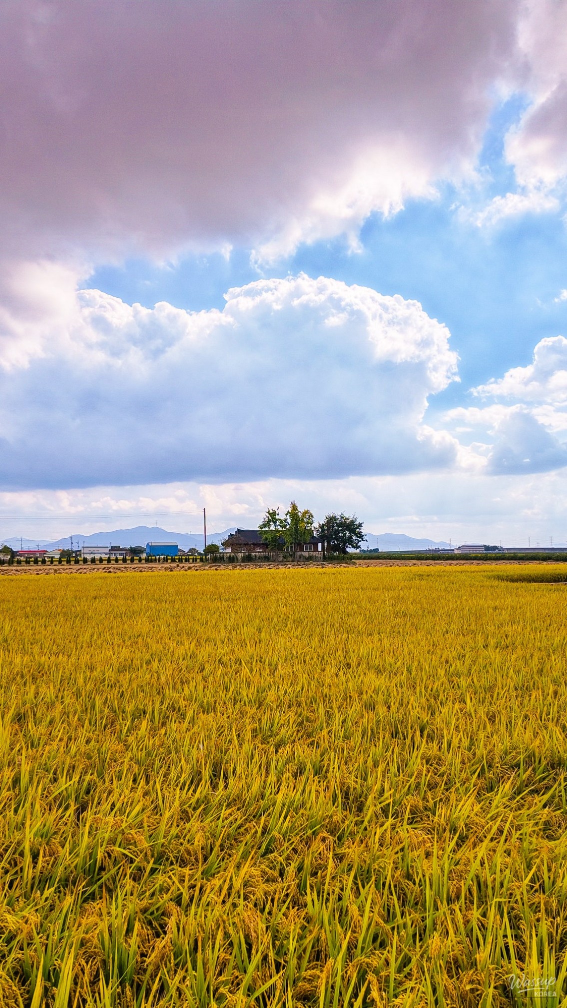 Autumn in the Ugang Plain_04