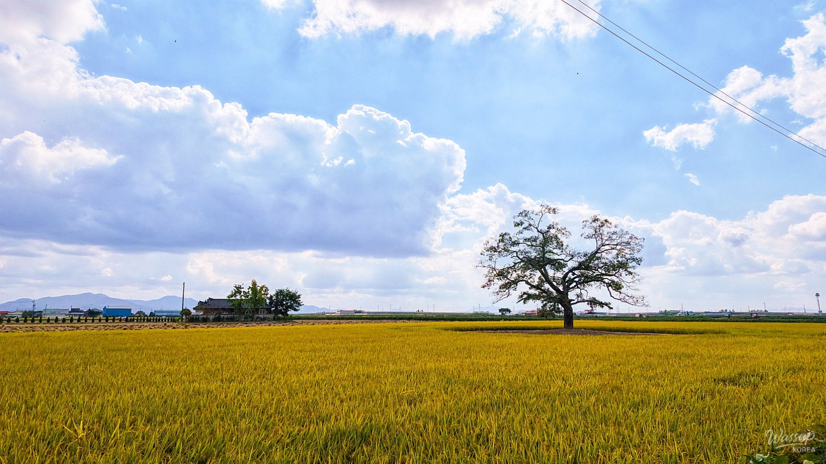 Autumn in the Ugang Plain_02