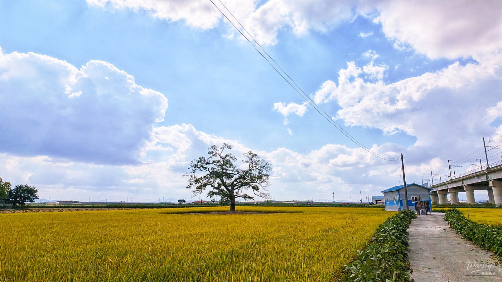 Autumn in the Ugang Plain_01