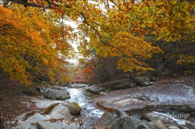 Top 3 Autumn Travel Destinations in Muju_04