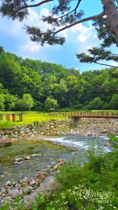 Top 3 Autumn Travel Destinations in Muju_10