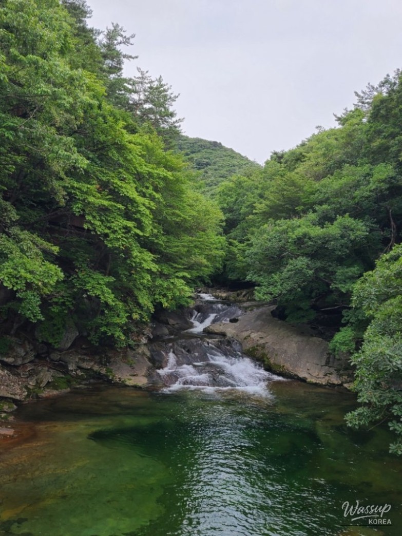 Top 3 Autumn Travel Destinations in Muju_11