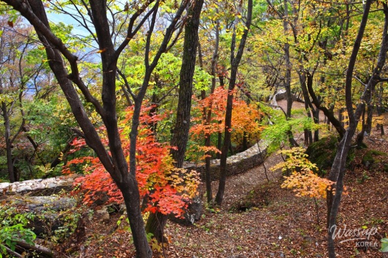 Top 3 Autumn Travel Destinations in Muju_06