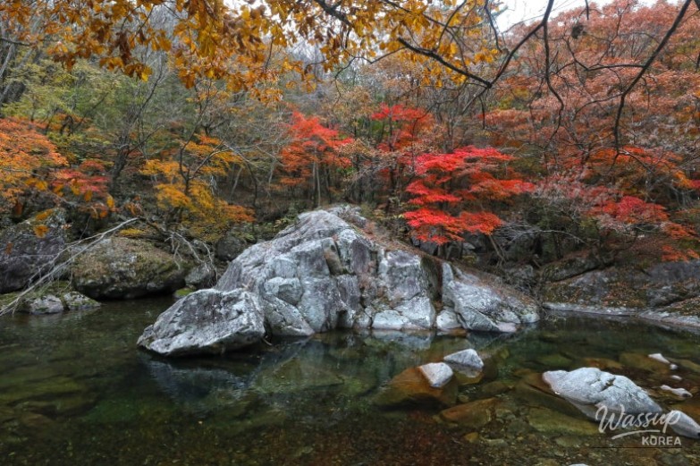 Top 3 Autumn Travel Destinations in Muju_02