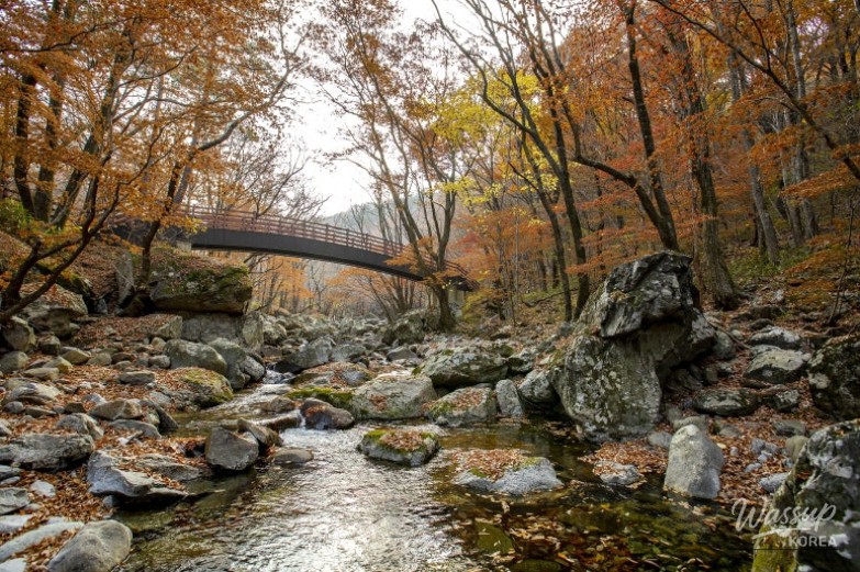 Top 3 Autumn Travel Destinations in Muju_01