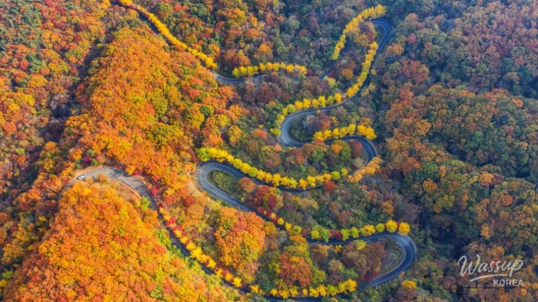 Top 3 Autumn Travel Destinations in Muju_08