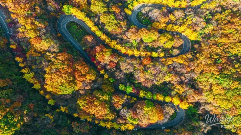 Top 3 Autumn Travel Destinations in Muju_05