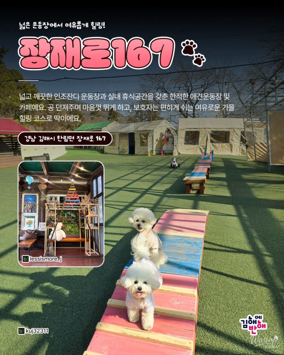 Autumn Adventures with Your Pets in Gimhae_08
