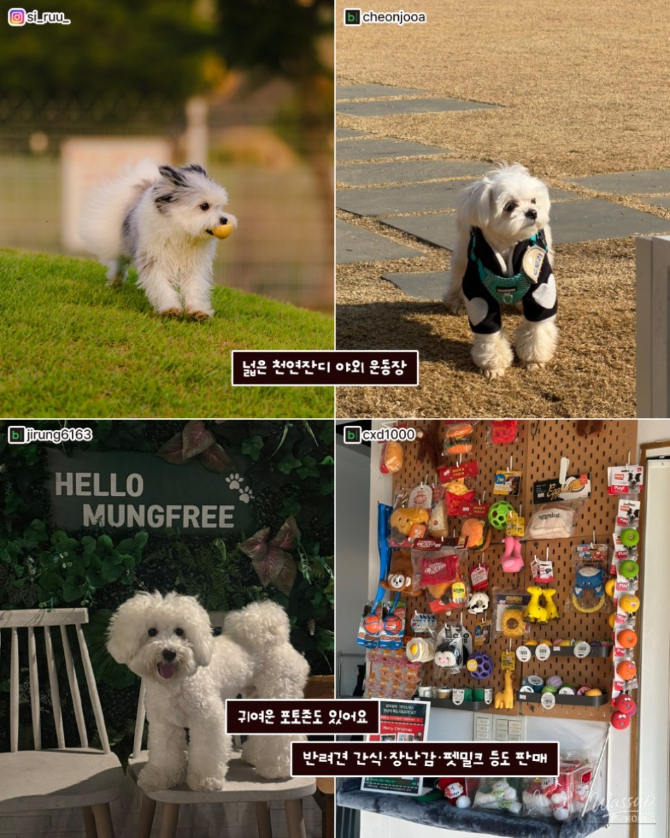 Autumn Adventures with Your Pets in Gimhae_07