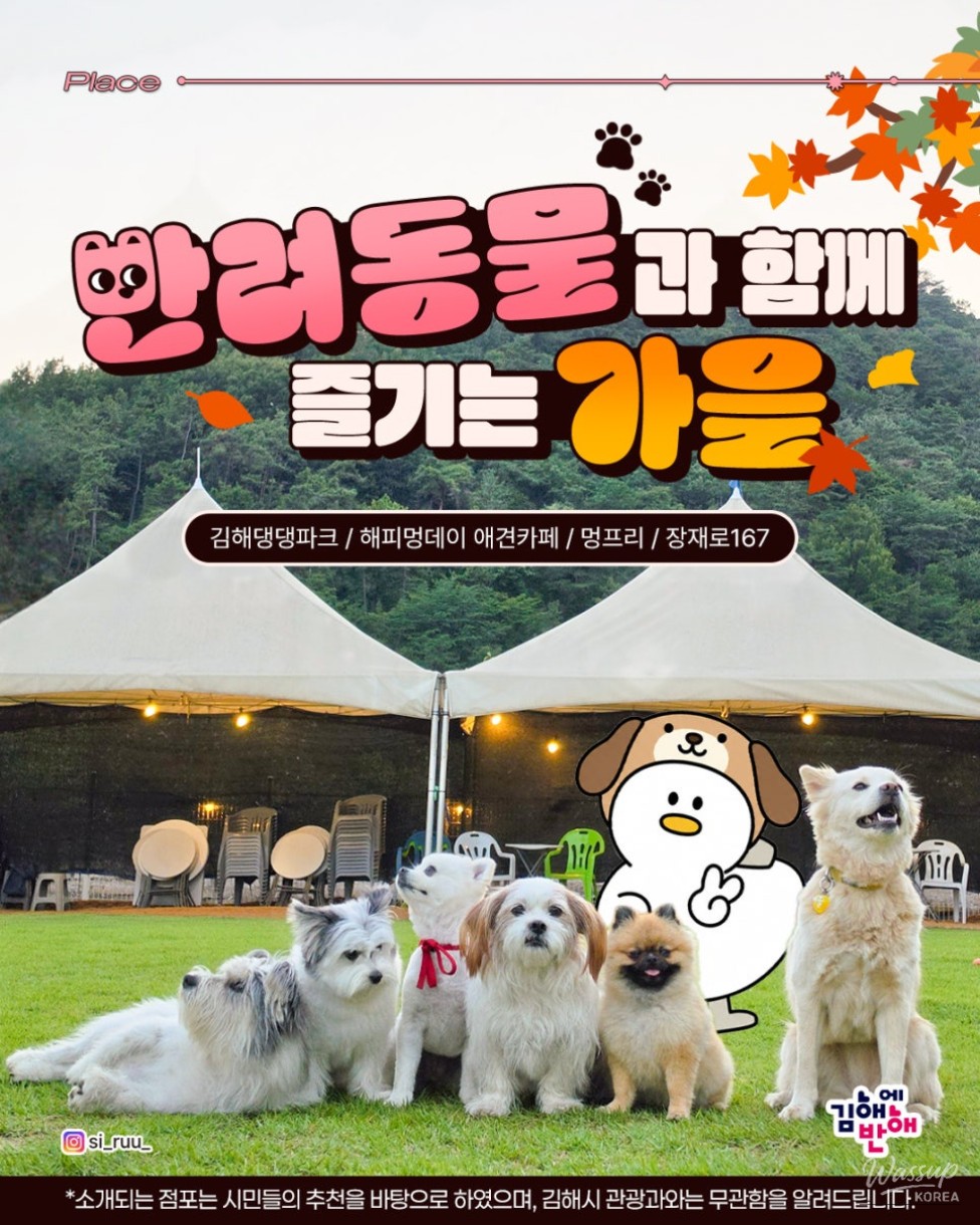 Autumn Adventures with Your Pets in Gimhae_01