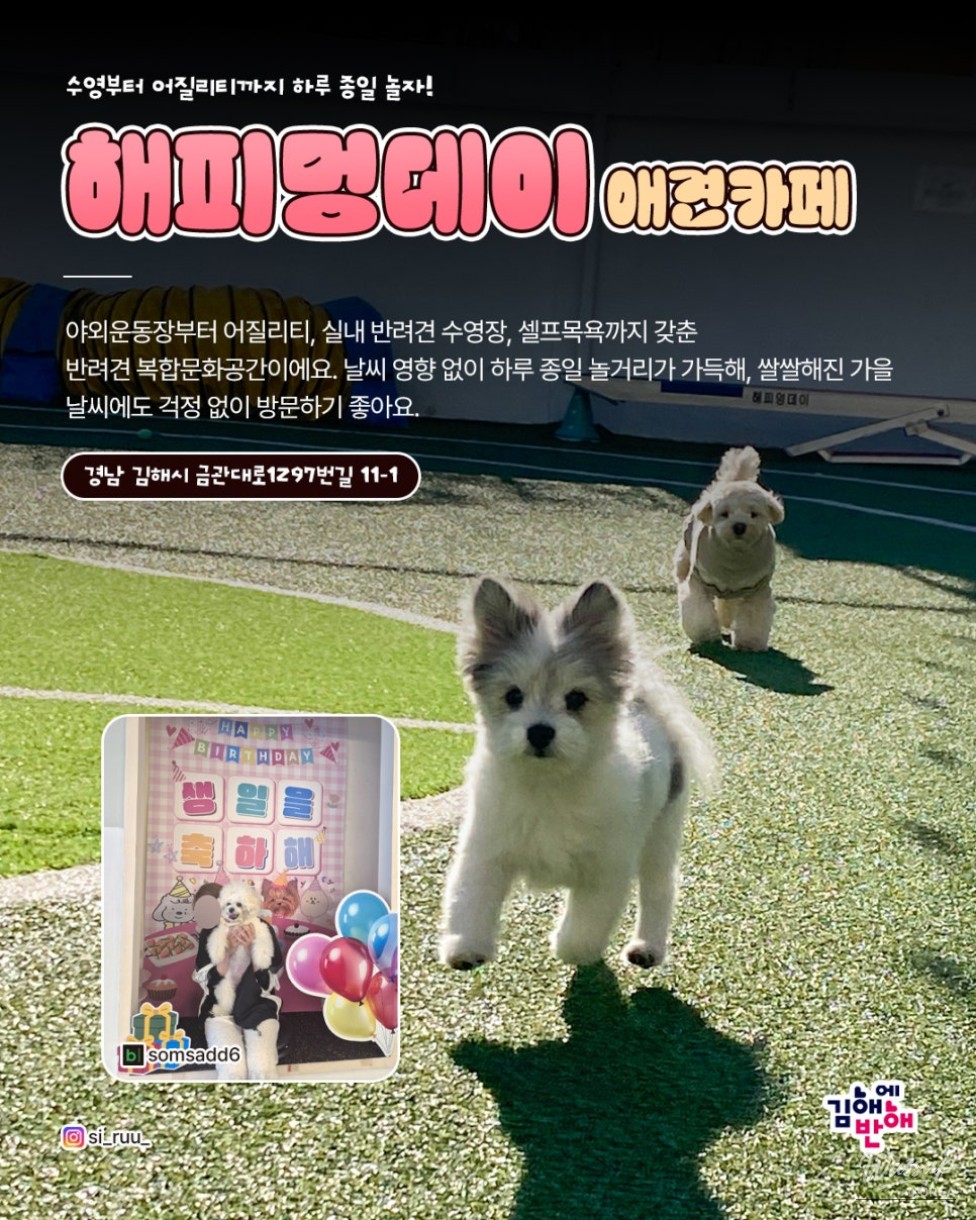 Autumn Adventures with Your Pets in Gimhae_04
