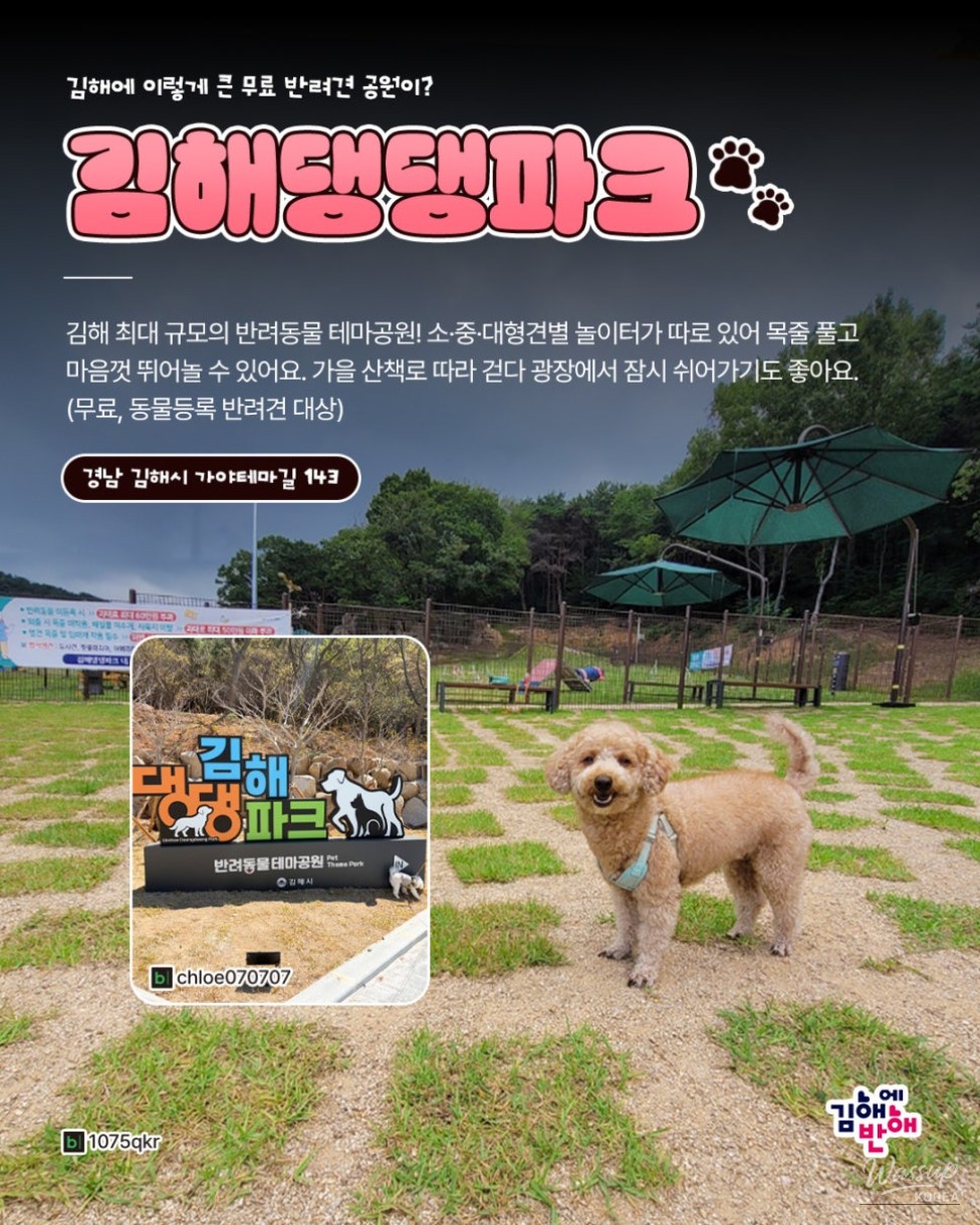 Autumn Adventures with Your Pets in Gimhae_02
