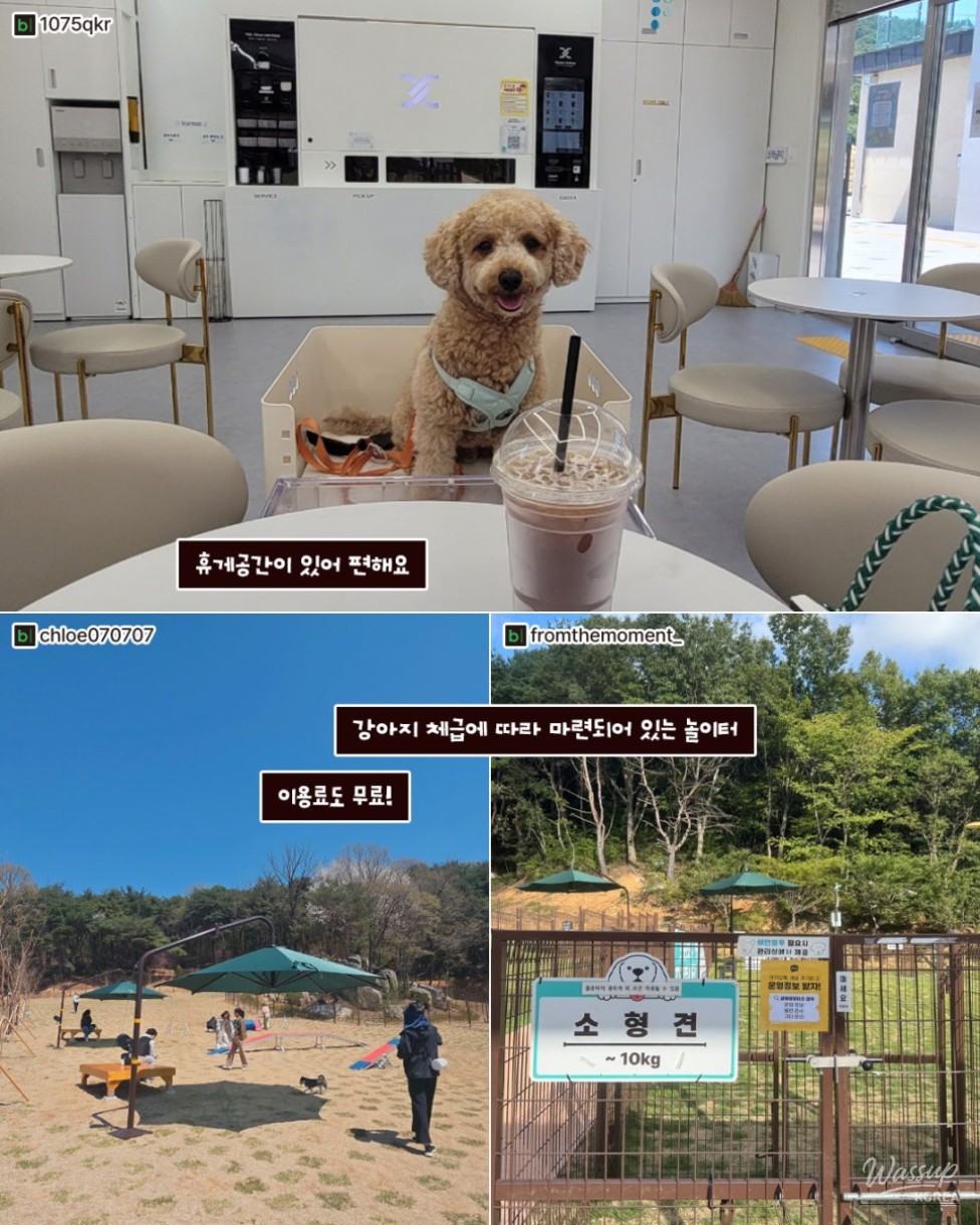 Autumn Adventures with Your Pets in Gimhae_03