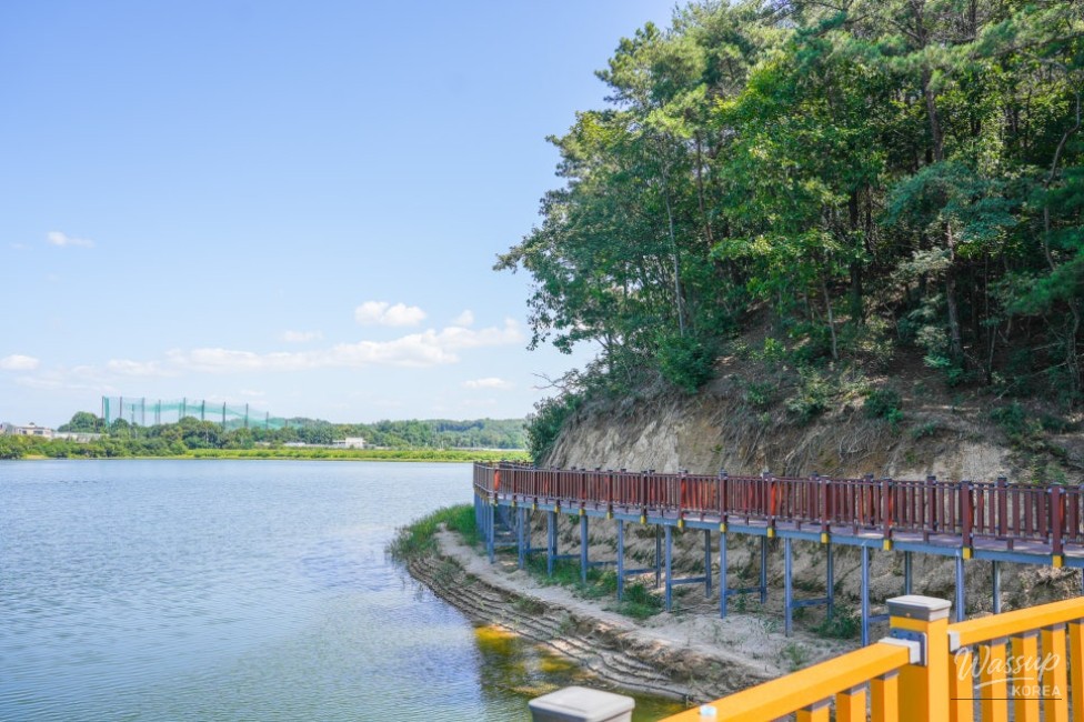 Exploring Guam Reservoir: A Serene Escape into Nature_04