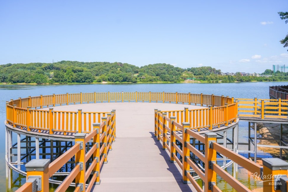 Exploring Guam Reservoir: A Serene Escape into Nature_03