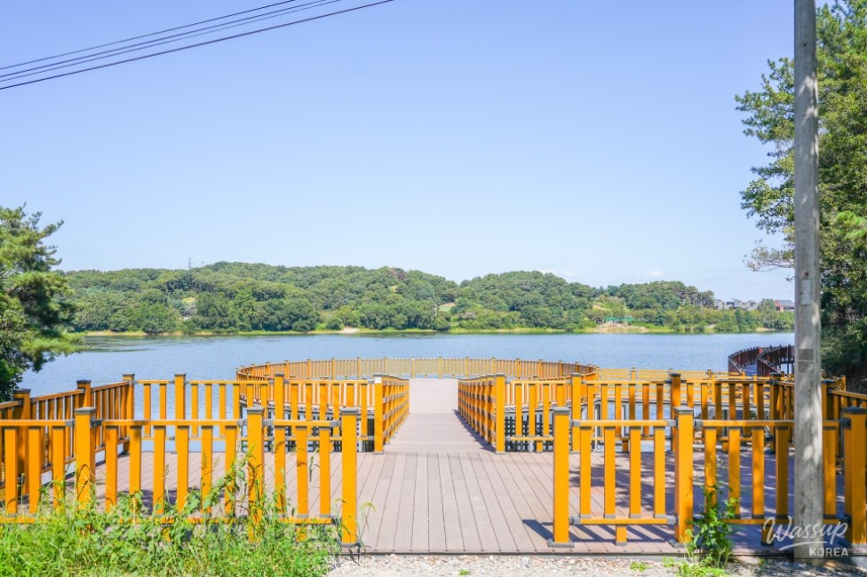 Exploring Guam Reservoir: A Serene Escape into Nature_02