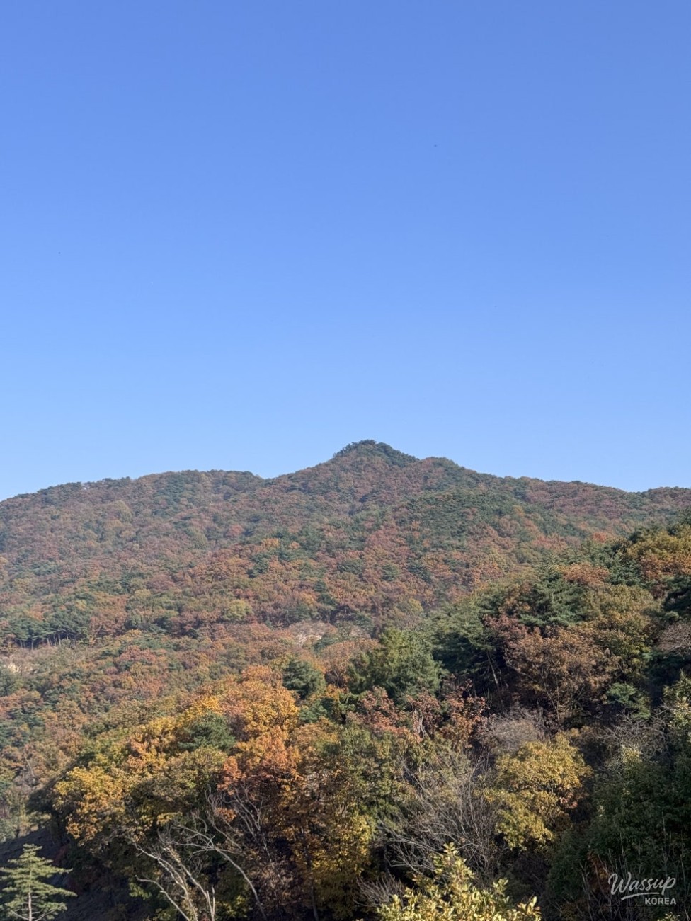 Exploring the Scenic Beauty of Jincheon in Autumn_12