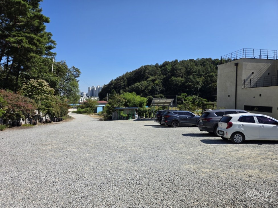 A Memorable Visit to the Duck Restaurant in Jincheon_04