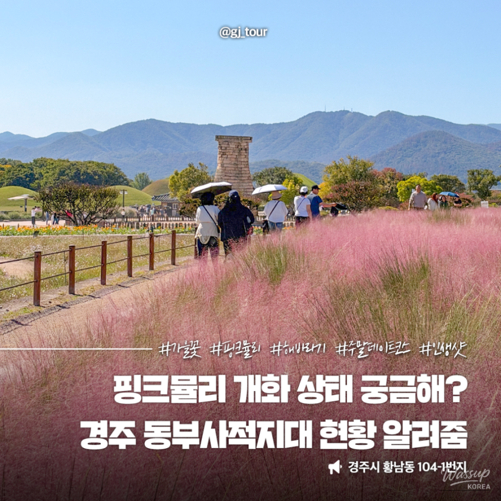 Discover the Beauty of Autumn in Gyeongju_10