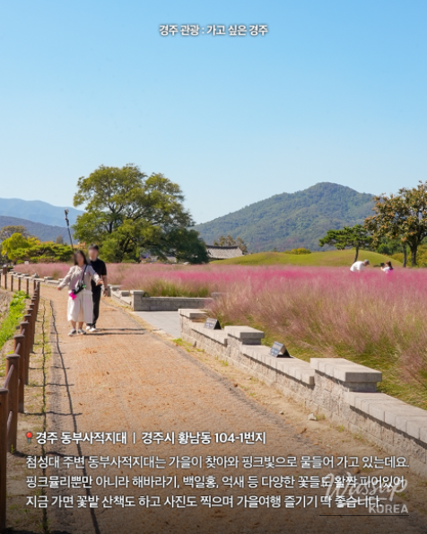 Discover the Beauty of Autumn in Gyeongju_02