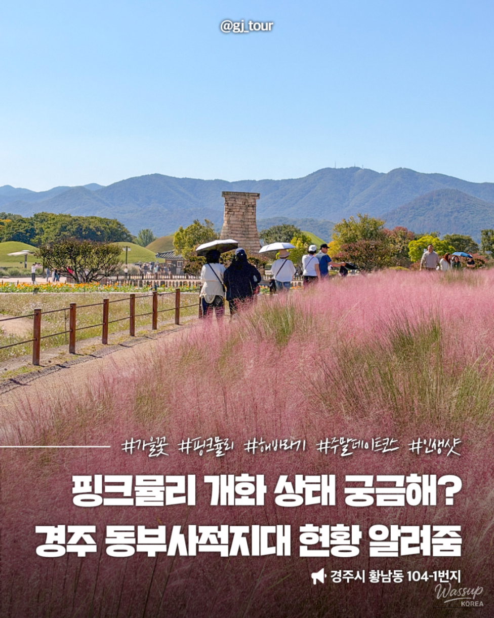 Discover the Beauty of Autumn in Gyeongju_01