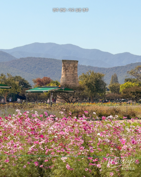 Discover the Beauty of Autumn in Gyeongju_05