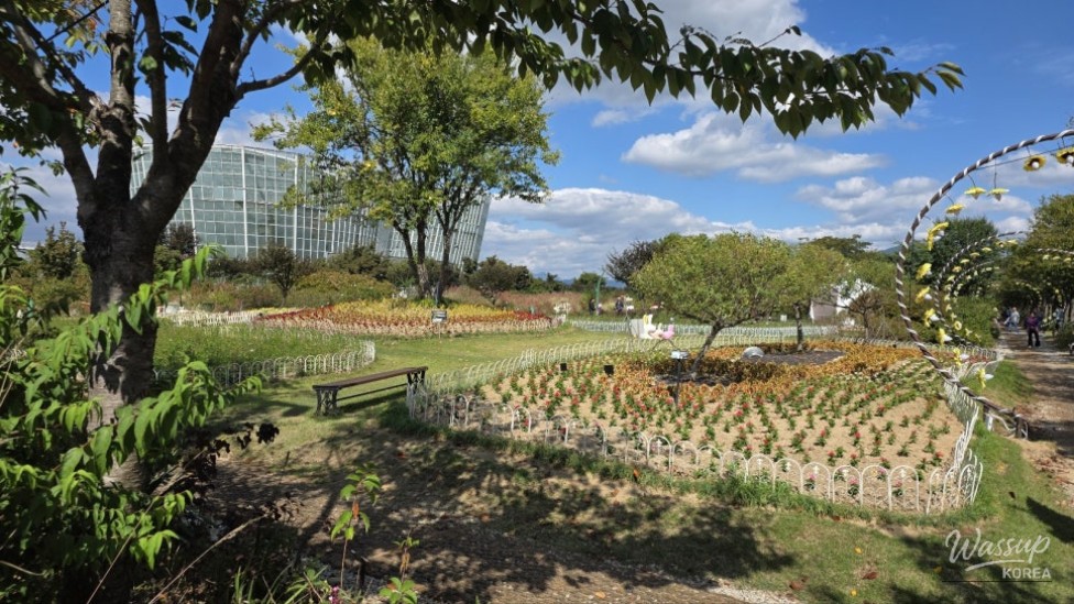 Visit to Geochang Changpo Garden: 2026 Garden Healing Expo_04