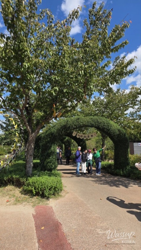 Visit to Geochang Changpo Garden: 2026 Garden Healing Expo_06