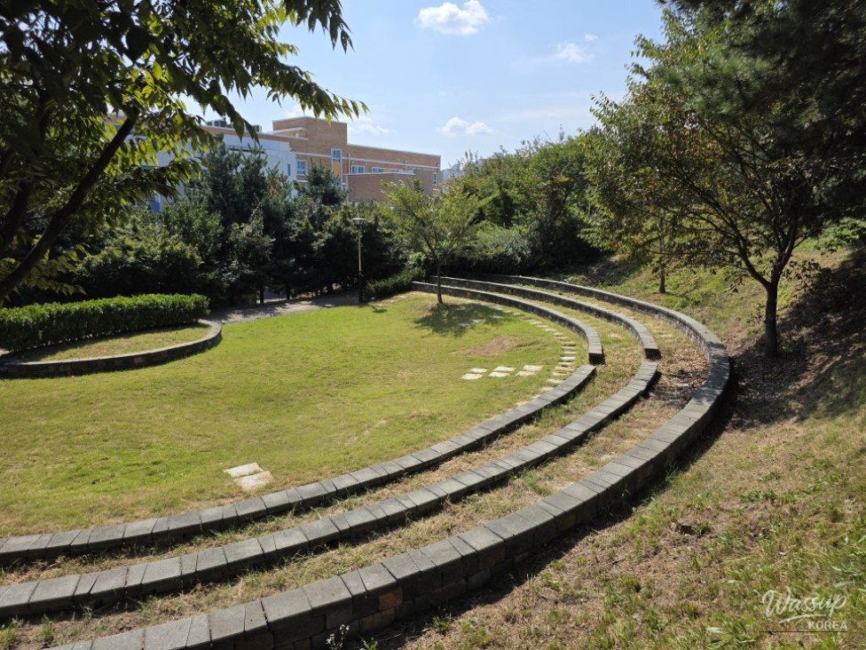 Exploring the Green Sharing Forest of Geolmi Mountain in Jincheon_12
