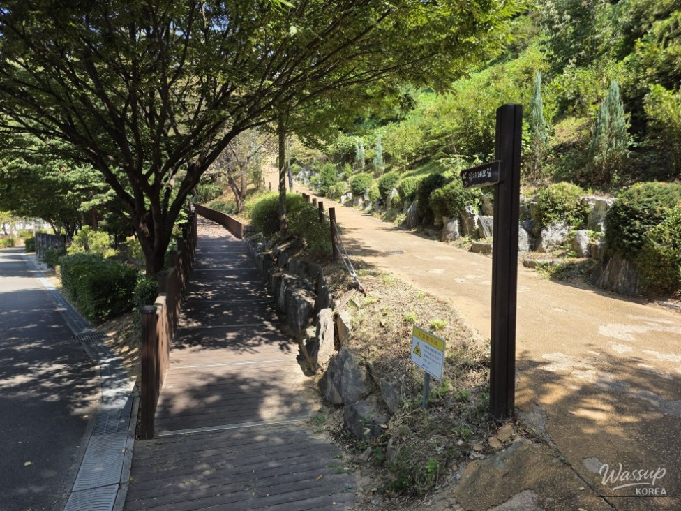Exploring the Green Sharing Forest of Geolmi Mountain in Jincheon_09