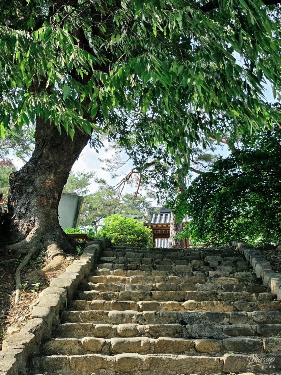 Exploring Aehanjeong Pavilion in Goesan_02