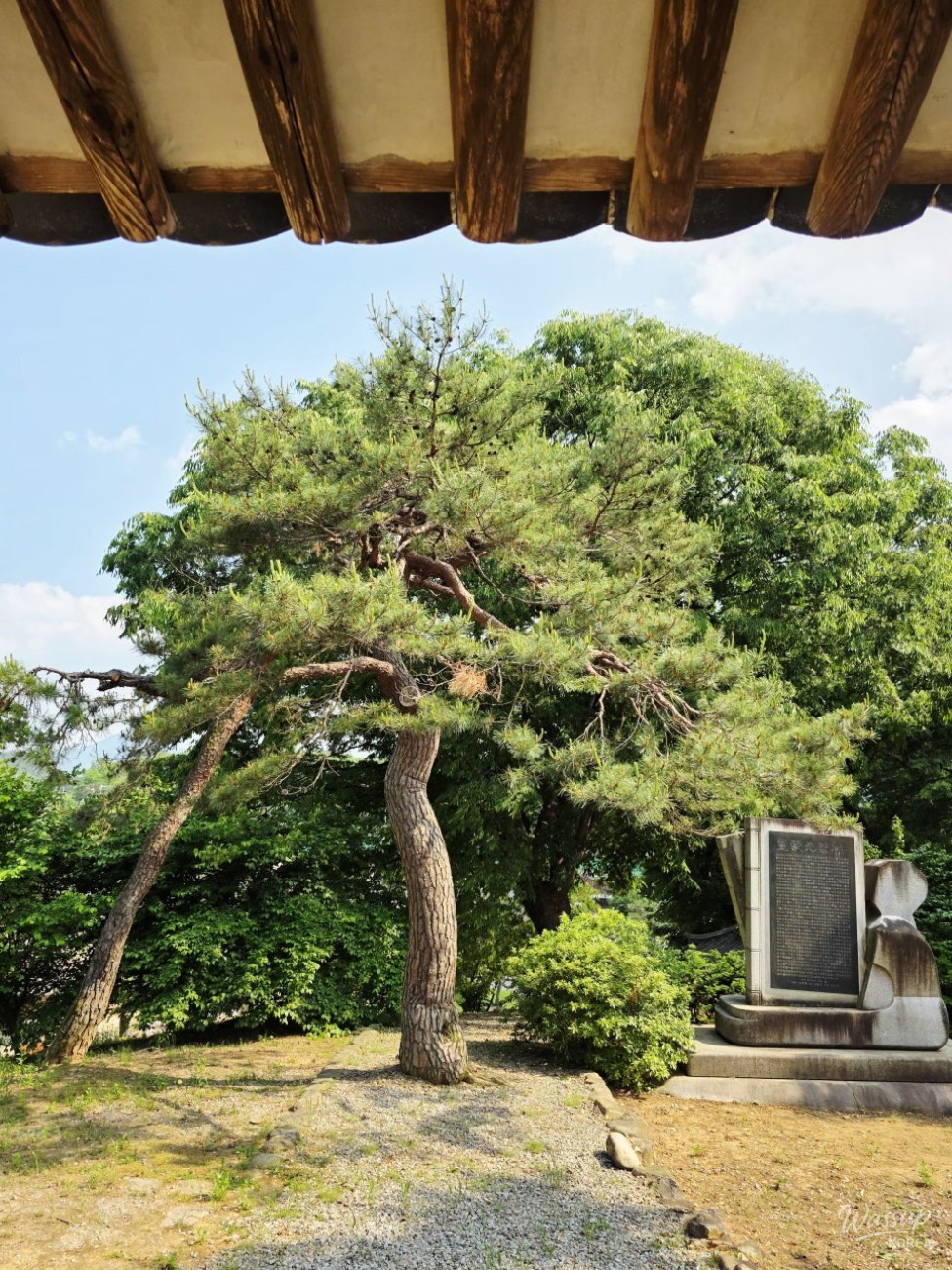 Exploring Aehanjeong Pavilion in Goesan_07