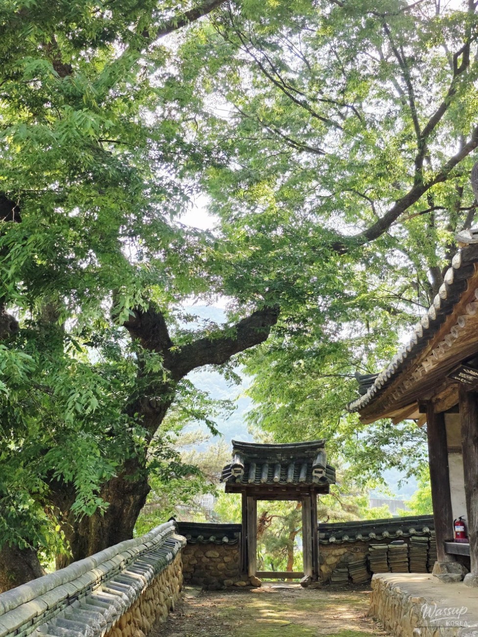 Exploring Aehanjeong Pavilion in Goesan_11