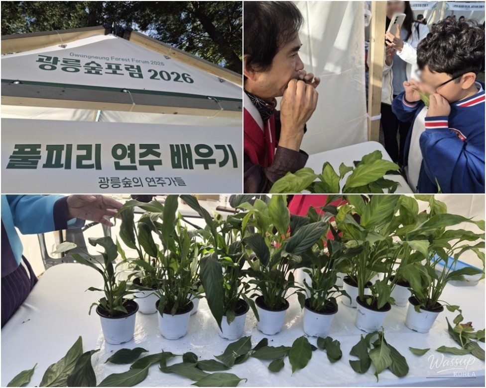 Exploring the Stories of Forest Guardians and Local Communities_09