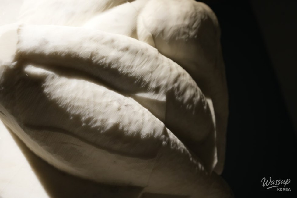 Park Jung-woo's Exhibition: The Shell is the Core_06