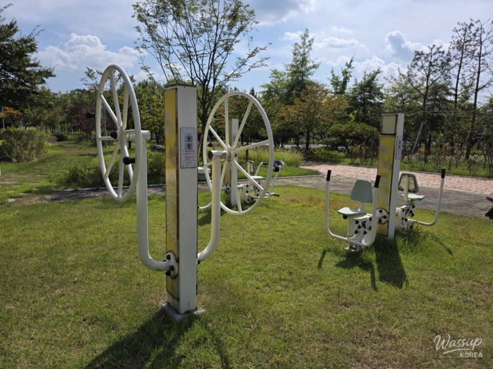 Discovering Jinchun Gangdangmal Park: A Perfect Family Getaway_09