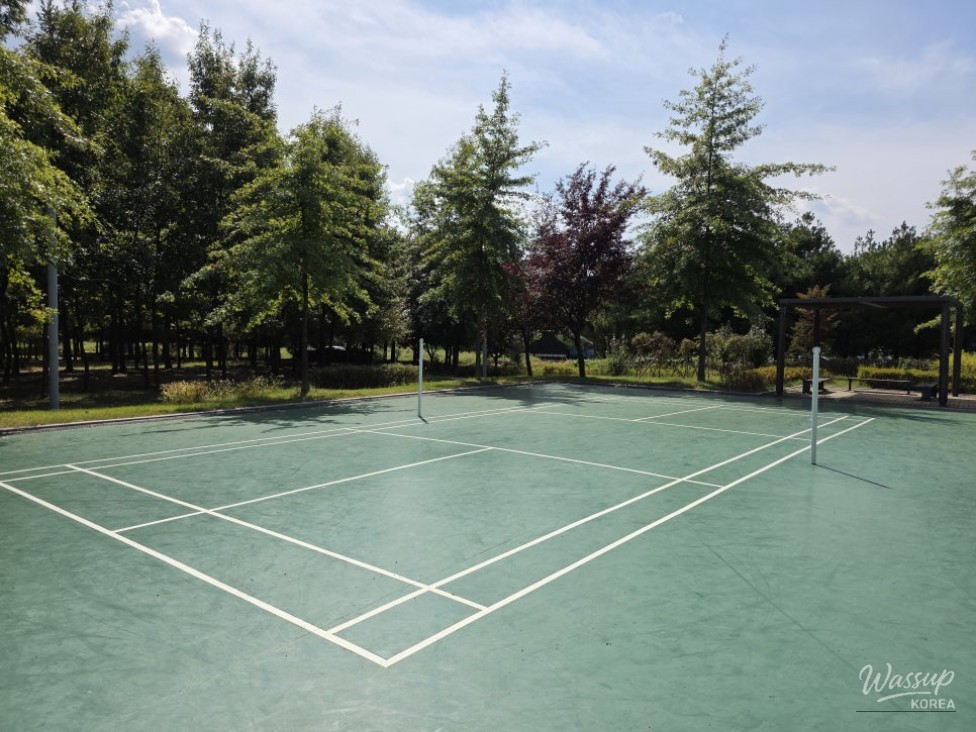 Discovering Jinchun Gangdangmal Park: A Perfect Family Getaway_13
