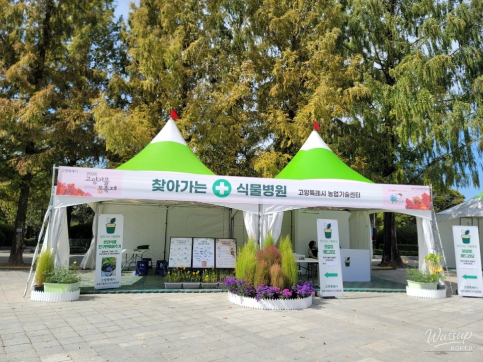 Exploring the 2026 Goyang Autumn Flower Festival_08