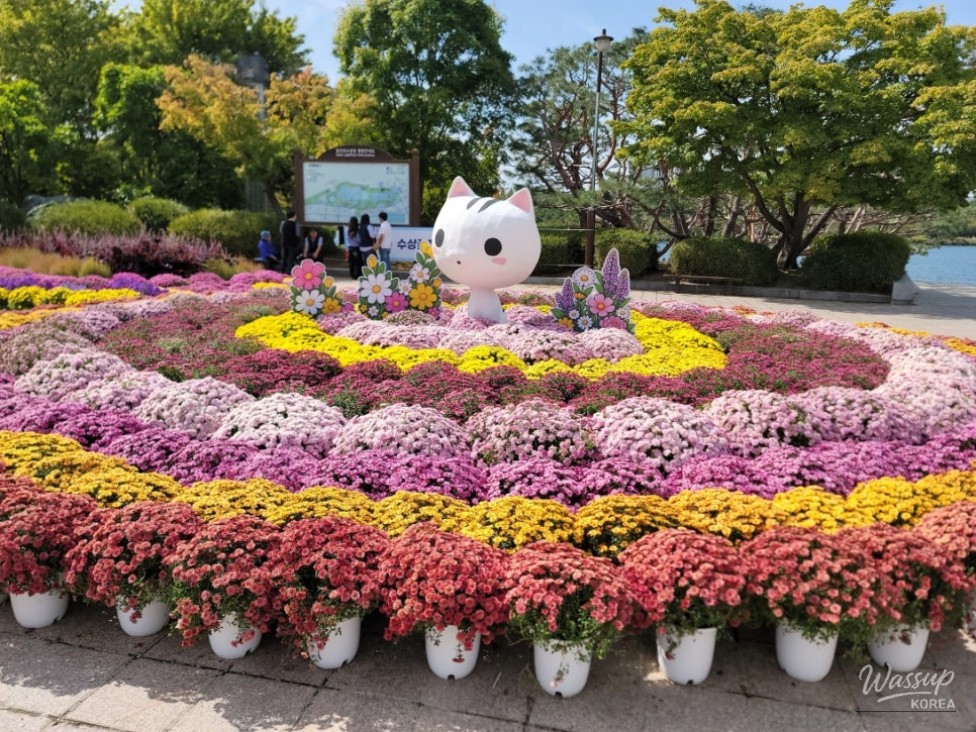 Exploring the 2026 Goyang Autumn Flower Festival_03