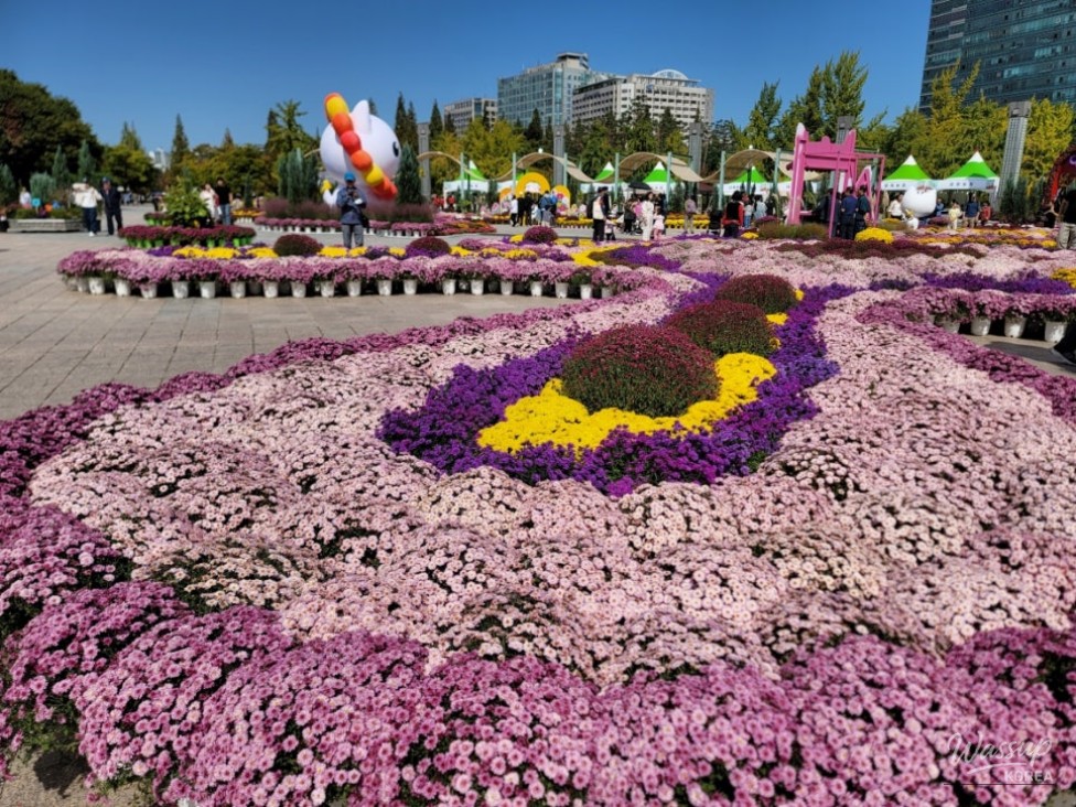 Exploring the 2026 Goyang Autumn Flower Festival_02