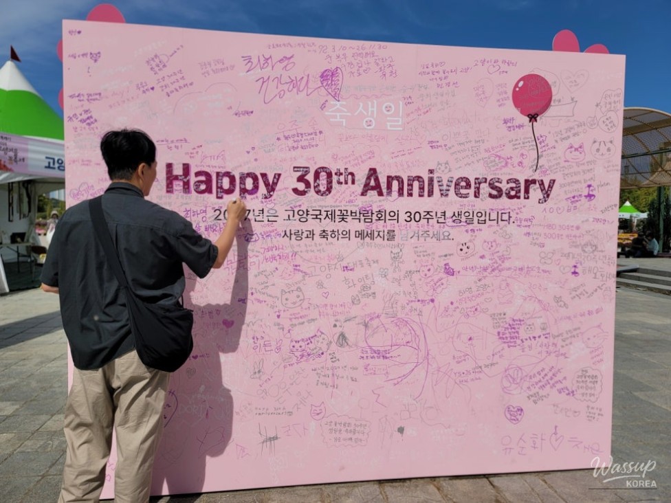 Exploring the 2026 Goyang Autumn Flower Festival_10