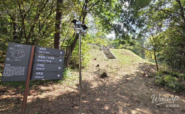 Exploring Heungwon: A Historical Cultural Space Amidst Nature_04