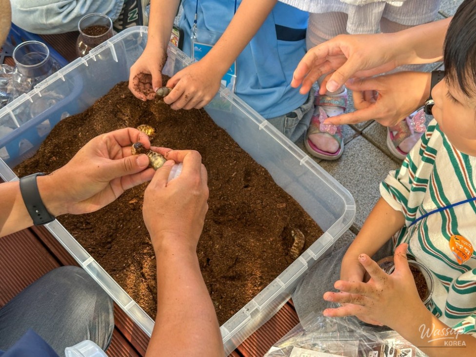 Exploring Insects: A Hands-On Experience for Children_10
