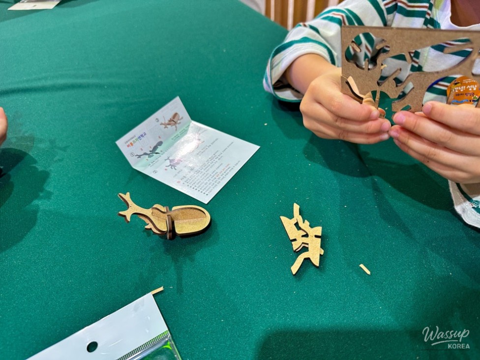 Exploring Insects: A Hands-On Experience for Children_08
