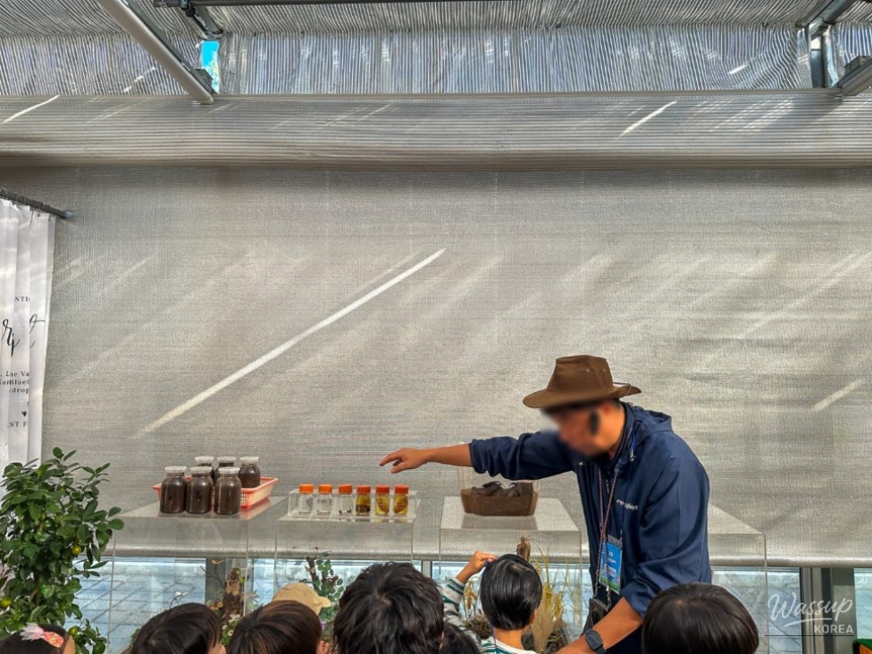 Exploring Insects: A Hands-On Experience for Children_05
