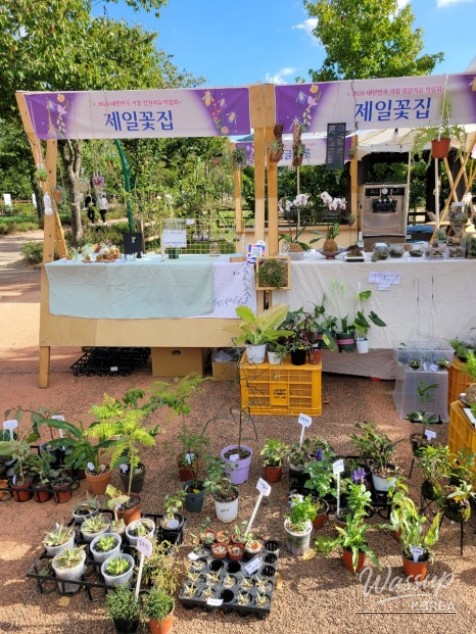 Gochang Garden Healing Expo 2026_04