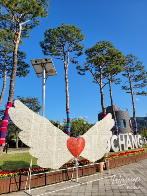 Gochang Garden Healing Expo 2026_01