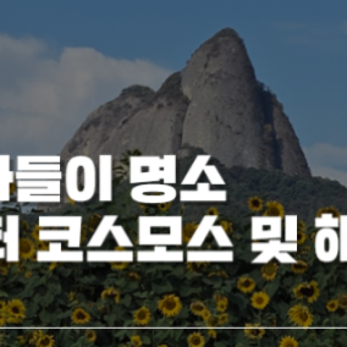 Enjoying Cosmos and Sunflowers Against the Backdrop of Jinan Maisan