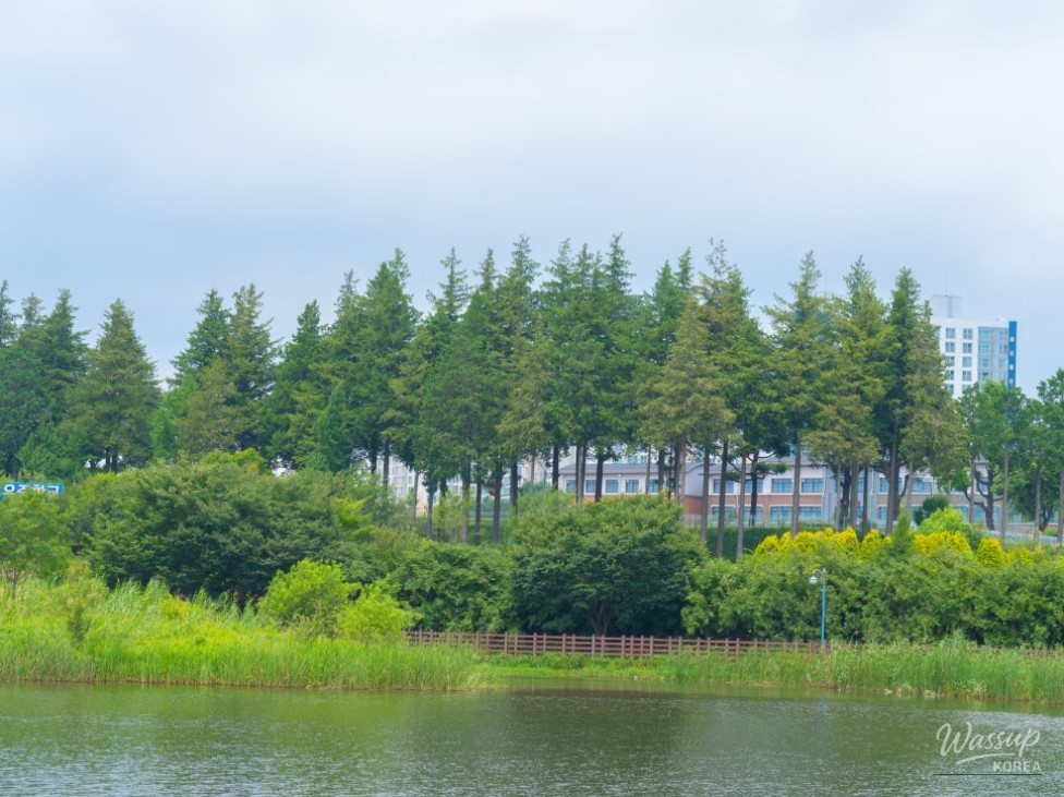 The Beauty of Bingtong Reservoir in Summer_08